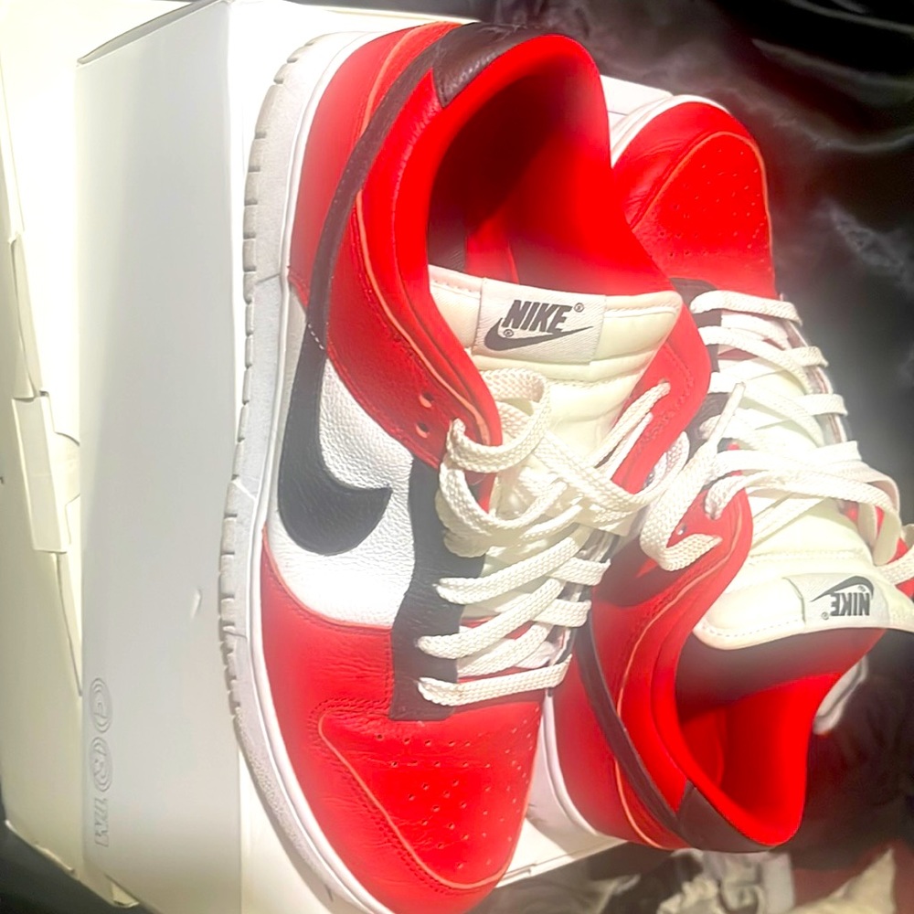 Nike dunk by you size 10